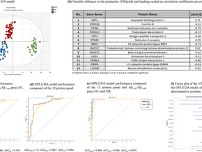Molecular signatures of normal pressure hydrocephalus: a large-scale proteomic analysis of cerebrospinal fluid.