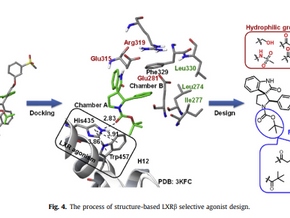 Discovery of new LXRβ agonists as glioblastoma inhibitors