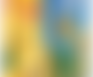 [중국레고백과]꽃의 세계:튤립 크리에이터 엑스퍼트 꽃 블럭 완구 호환 레고 몰드킹 24012(가격,후기,리뷰,추천)