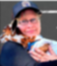 Screenshot (343).png