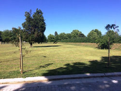 15390926_1799981260274022_2614302903396578191_n