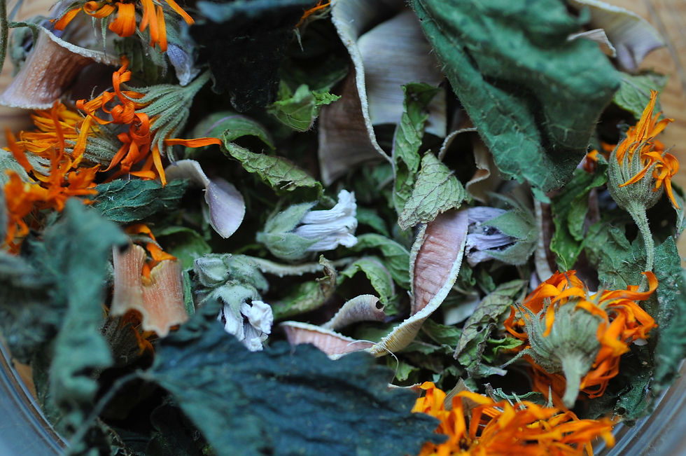 Tisane fraicheur