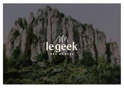 GEEK_DES_ORGUES_V3_Plan de travail 1.png