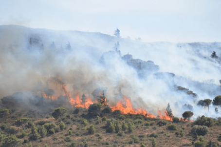 Il n’y aura plus de saison de feu...