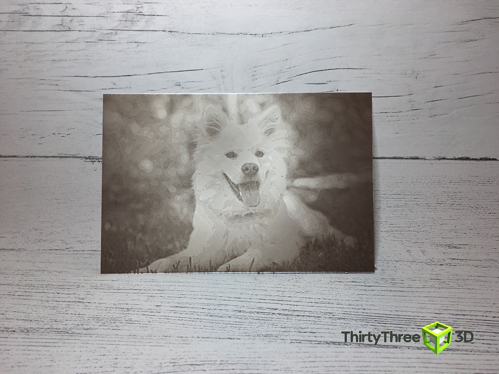 3D Printed Photographs/Lithophane