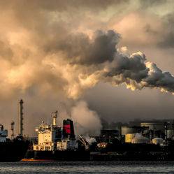 Diane Bailey: Environmental Justice Advocate Speaks on Her Experiences as a Change-maker