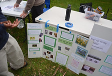 DSC_8785_edited.jpg