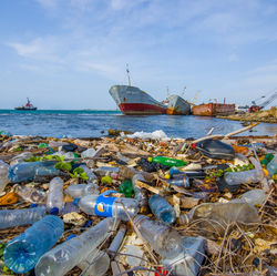 5-Minute Action: Plastic Free Petitions