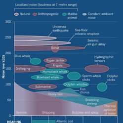 The Ethics of Seafloor Mapping: Will it Make or Break our Environment?