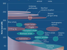 The Ethics of Seafloor Mapping: Will it Make or Break our Environment?