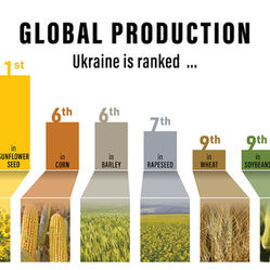 Russia’s Assault on Ukraine Is Becoming a Climate Catastrophe, Internally and Globally