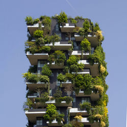 How to Build Sustainable Cities: Reimagining Urban Planning