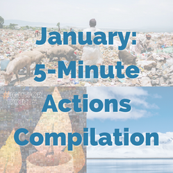 January: 5-Minute Action Monthly Recap