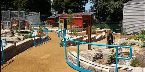 park image.webp