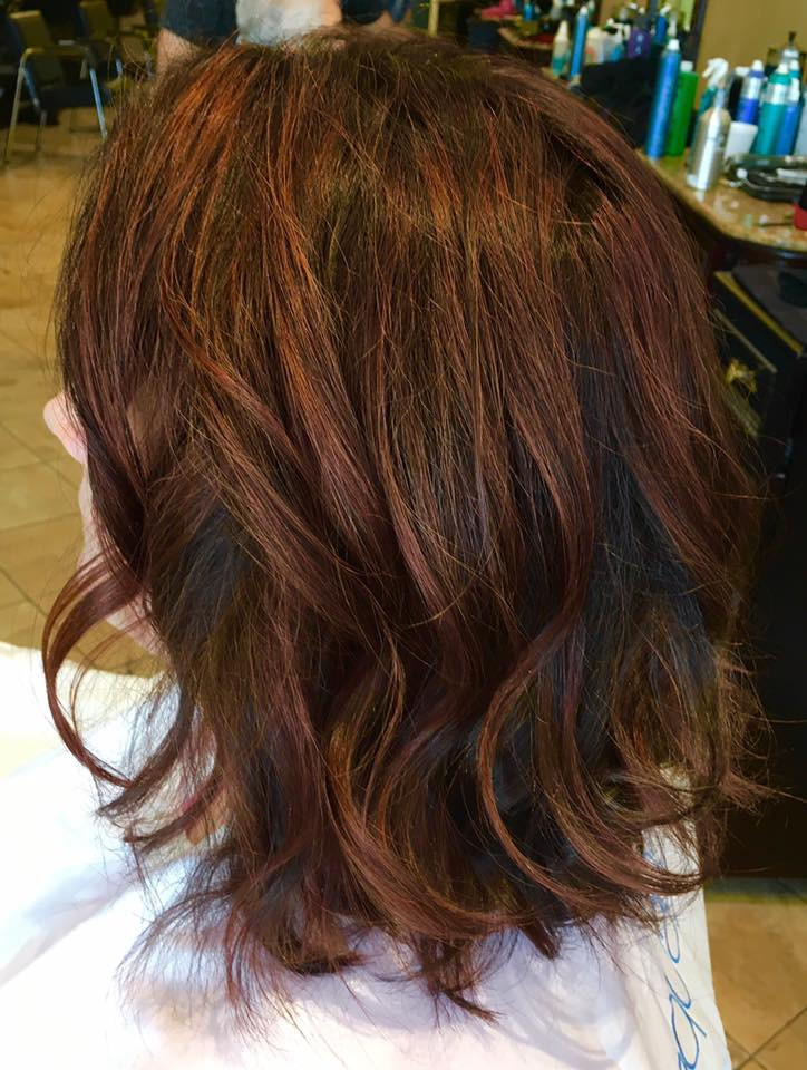 Hair Salon Shear Thairapy Hair Salon Park Ridge