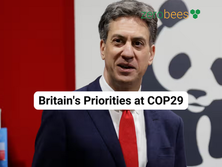 Britain's Priorities at COP29