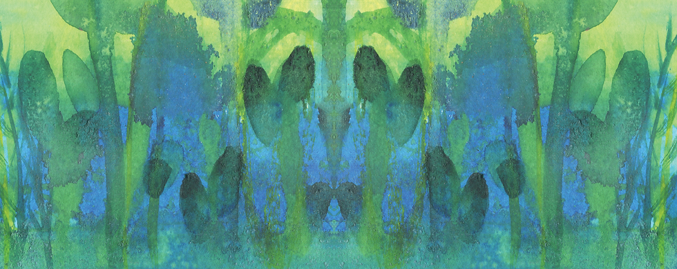 Feled Only Website Header_Experiment.png
