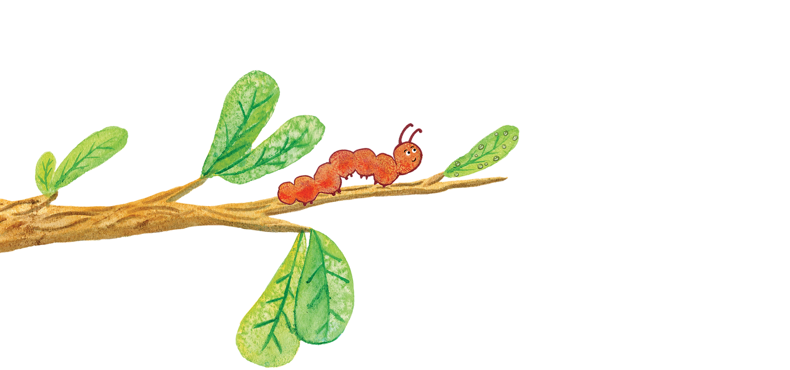 Constance on Tree Branch_Website Element.png