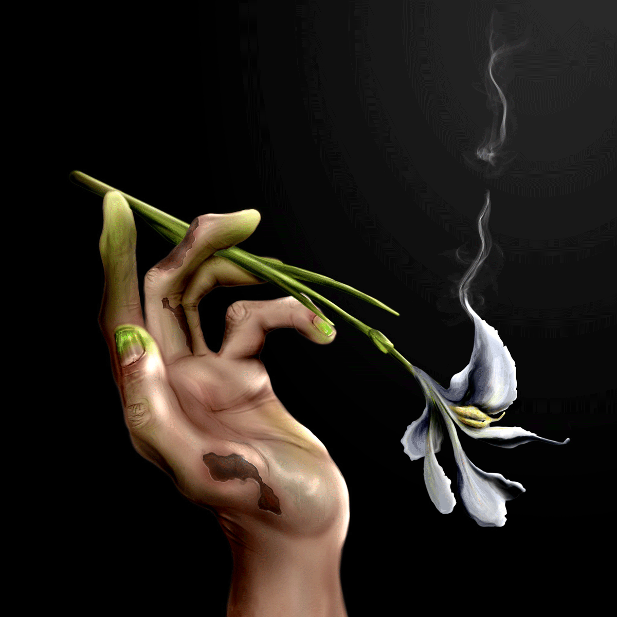 Full-Bloom.gif