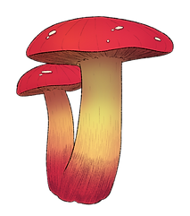 setas e.png
