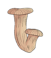 setas 3.png
