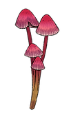 setas we.png