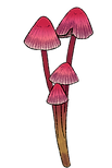 setas w.png