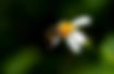 Bioxegy | Contact