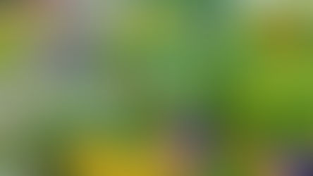 Top 5 des alternatives aux pesticides