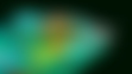 Les couleurs dans le vivant : un outil multifonctionnel