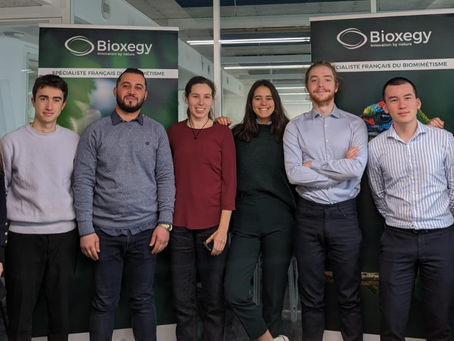 Welcome Imed at Bioxegy