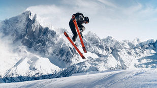 Biomimicry in sport, a fantastic innovation coach
