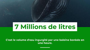 Le Saviez-Vous ? #38