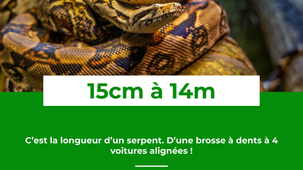 Le Saviez-Vous ? #52