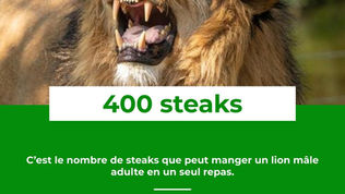 Le Saviez-Vous ? #53