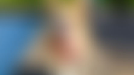 Les animaux de compagnie, meilleurs amis de l'innovation