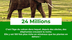 Le Saviez-Vous ? #59