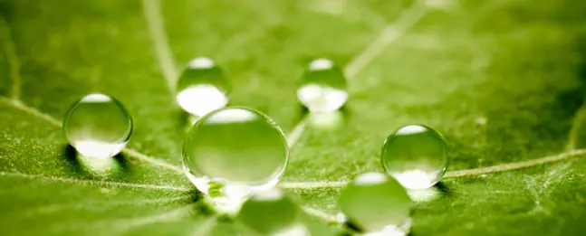 Biox'News de Printemps 2024
