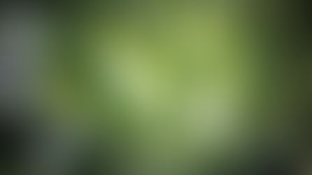 Écosystème : l'incroyable collaboration au service du patrimoine naturel