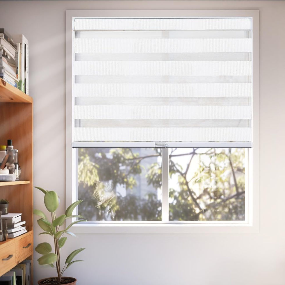 Thumbnail: CHICOLOGY Zebra Blinds , Roller Window Shades ,37"W X 72"H , Basic Arctic