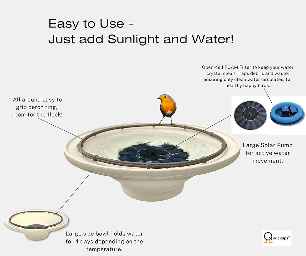 Thumbnail: Solar Bird Bath Bowl Bubbler for Hummingbirds and Small Birds