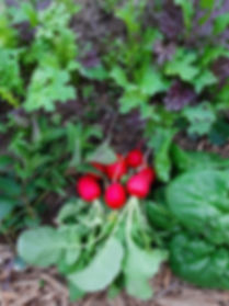 20200521_201348.jpeg