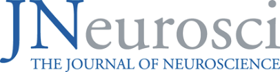 New article about Waves in Journal of Neuroscience!