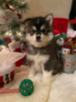 IMG_4839.jpeg