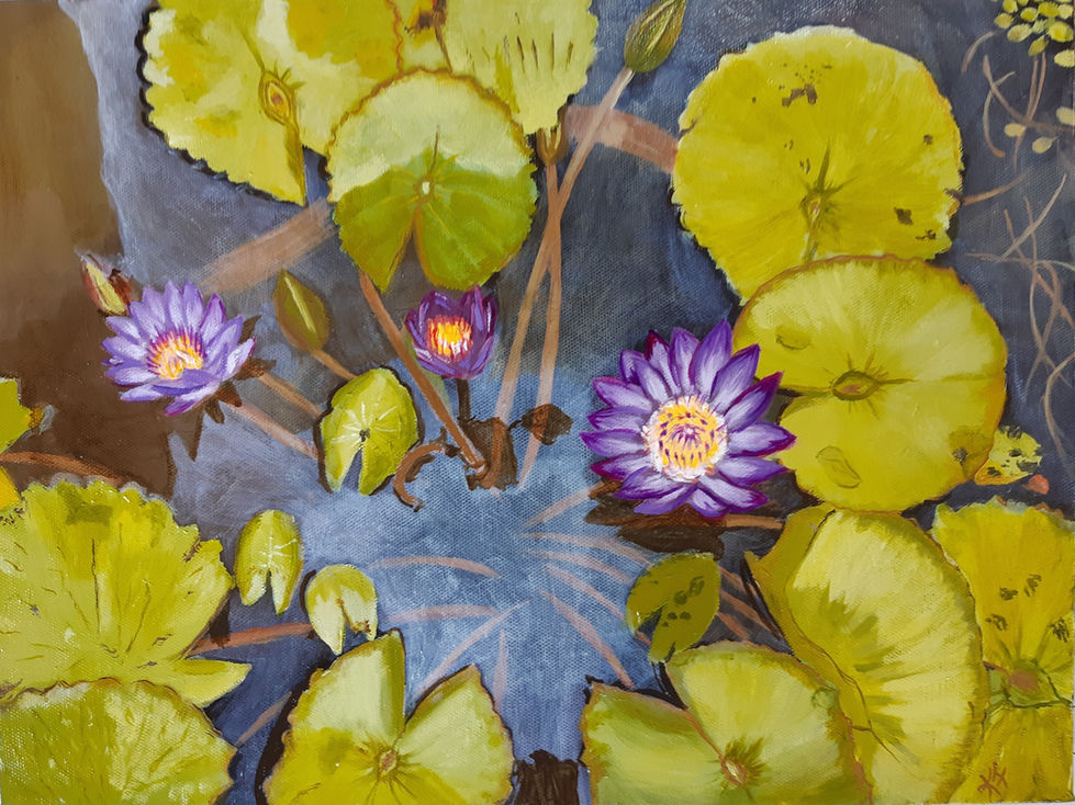 Vibrant lilies float effortlessly on the water, their delicate petals unfolding in a quiet dance,