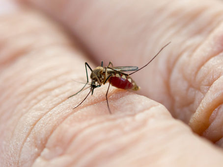 World Neglected Tropical Diseases Day 2026