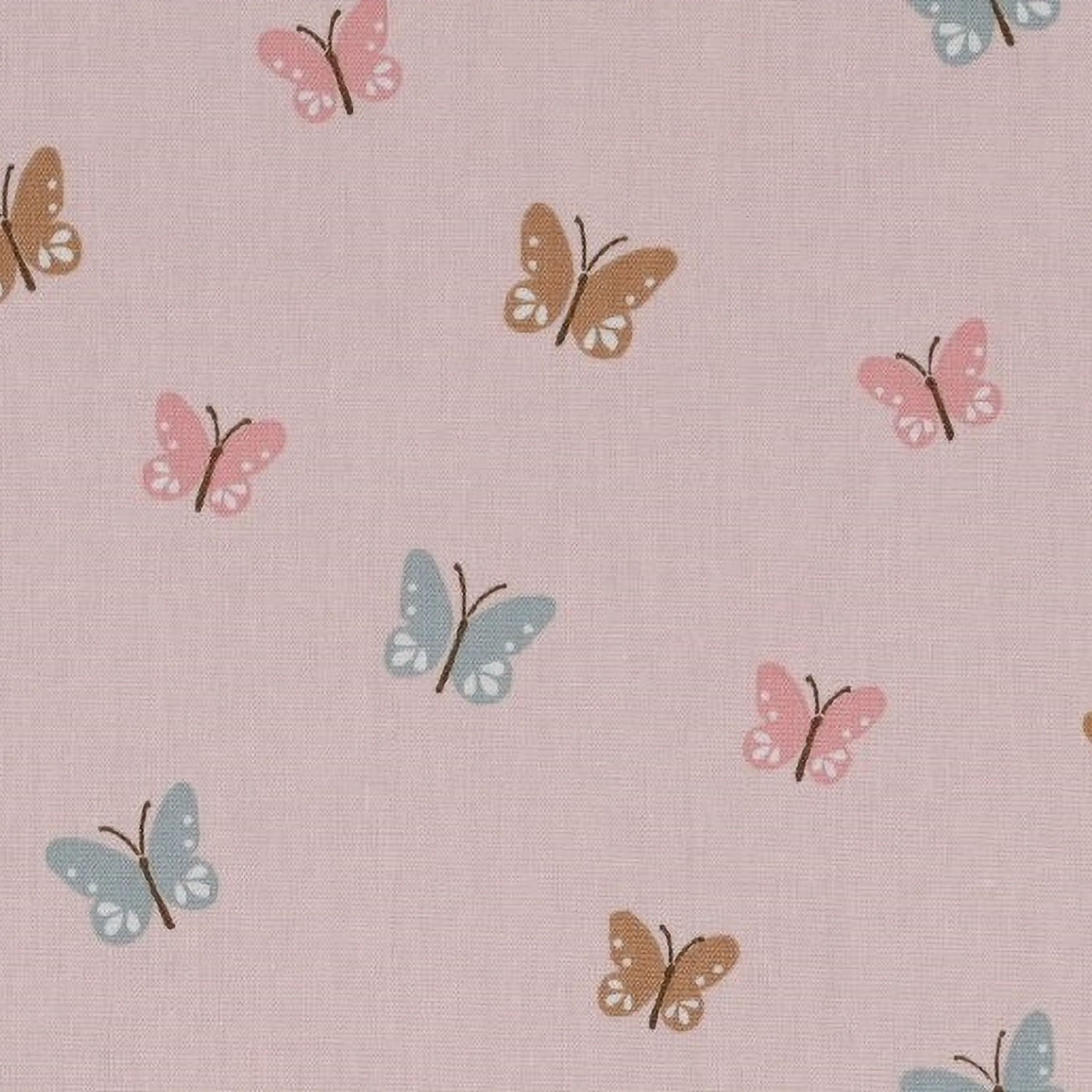 Katoen: vlinders roos