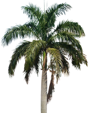 d832e1f4005f919d696aafcc11f979f5.png