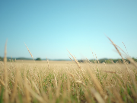 Unlocking Your Inheritance: 5 Essential Steps to Financial Empowerment