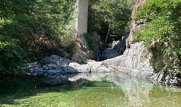 IMG_1834.jpg